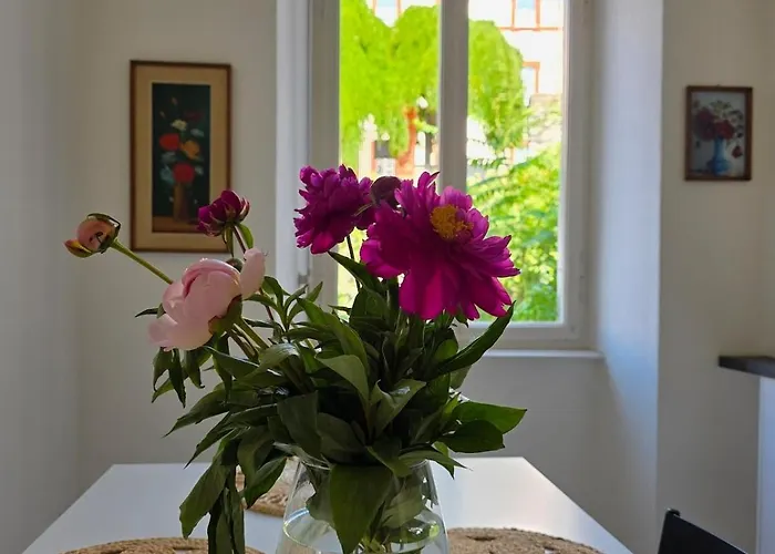 Palacinema - Old Town * لوكارنو